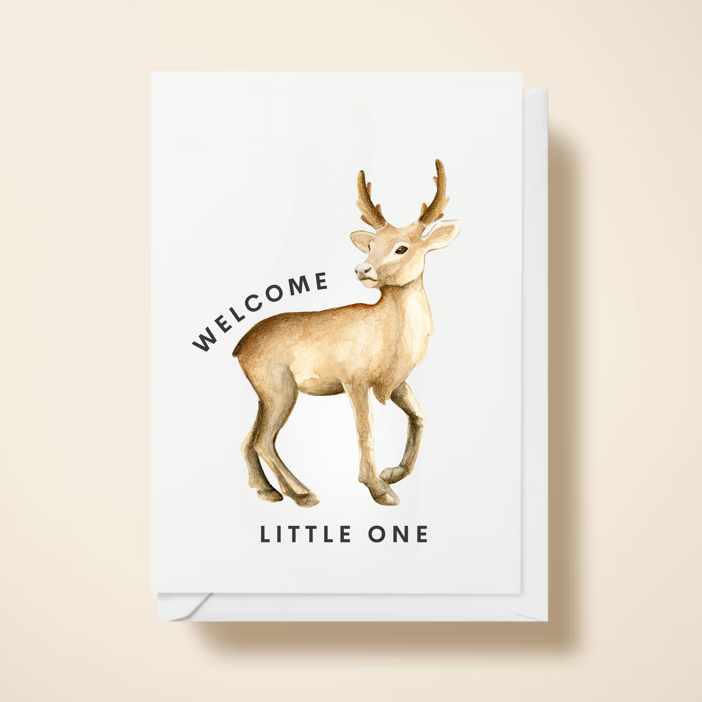 Welcome Little One