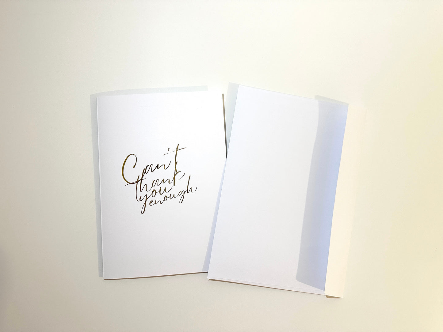 Can't Thank You Enough Card